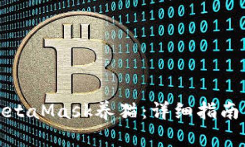 如何使用MetaMask养猫：详细指南与实用技巧