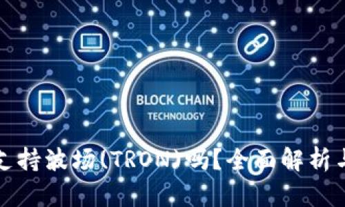 小狐钱包支持波场(TRON)吗？全面解析与使用指南