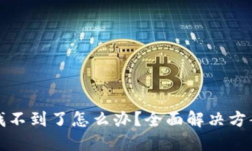 小狐钱包币找不到了怎么办？全面解决方案与实用技巧