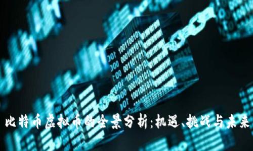 比特币虚拟币的全景分析：机遇、挑战与未来