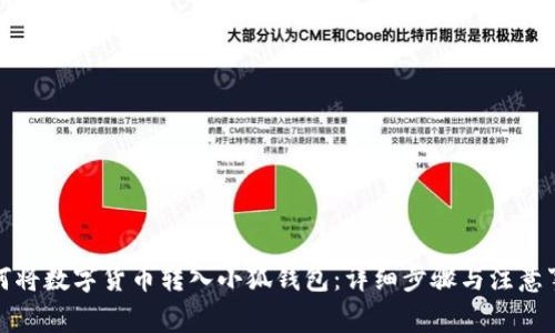 如何将数字货币转入小狐钱包：详细步骤与注意事项