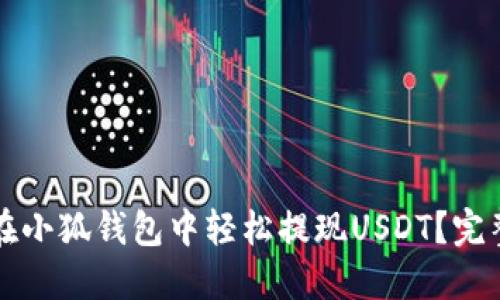 如何在小狐钱包中轻松提现USDT？完整指南