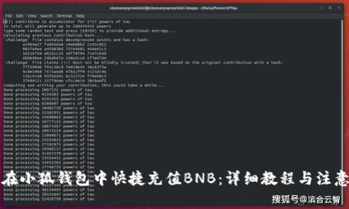 如何在小狐钱包中快捷充值BNB：详细教程与注意事项