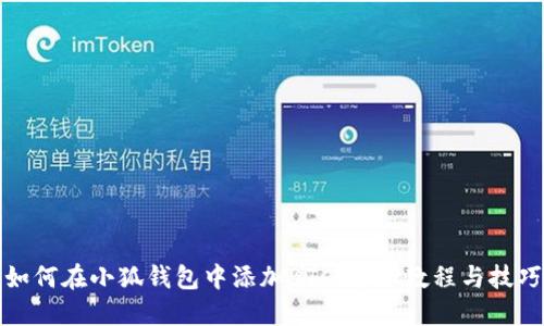 如何在小狐钱包中添加BTC：详细教程与技巧