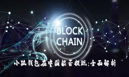 小狐钱包在中国能否提现：全面解析