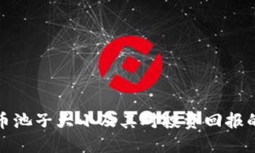 虚拟币池子大小及其对投资回报的影响