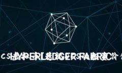 什么是DCS虚拟币？透视D