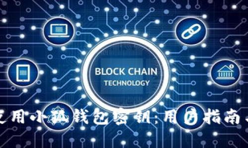 如何安全使用小狐钱包密钥：用户指南与安全技巧