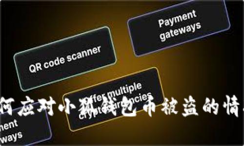 如何应对小狐钱包币被盗的情况？