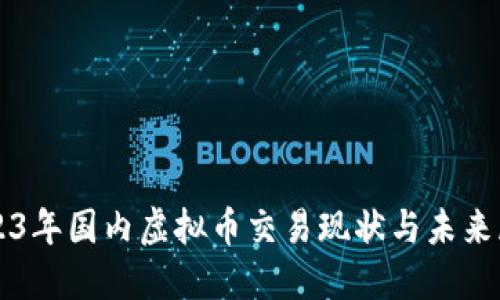2023年国内虚拟币交易现状与未来展望