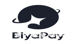 “生蛋虚拟币：数字资产