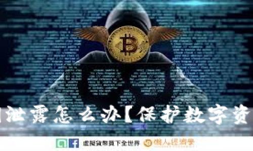 小狐钱包私钥泄露怎么办？保护数字资产的关键方法