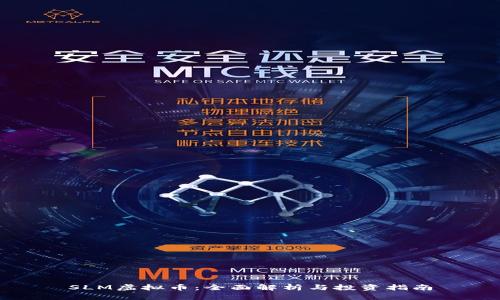 SLM虚拟币：全面解析与投资指南