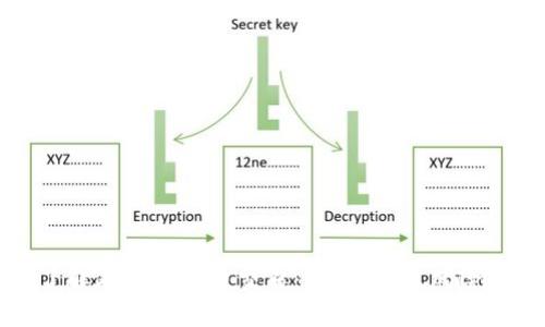 全面了解外国虚拟币交易：市场现状、风险与技巧
