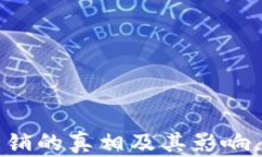 揭示虚拟币传销的真相及