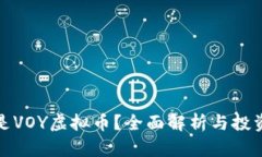 什么是VOY虚拟币？全面解