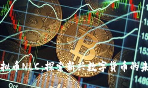 虚拟币NLC：探索新兴数字货币的未来
