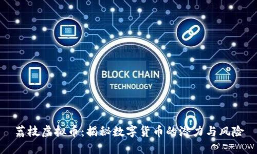 荔枝虚拟币：揭秘数字货币的潜力与风险