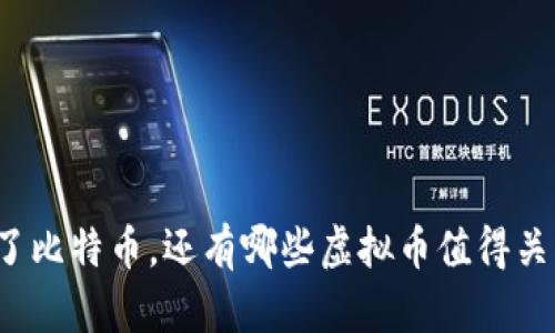 除了比特币，还有哪些虚拟币值得关注？