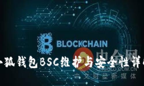 小狐钱包BSC维护与安全性详解