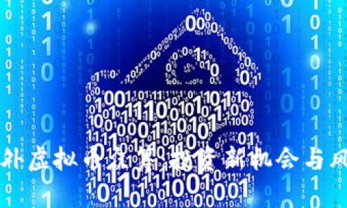 详解国外虚拟币众筹:投资新机会与风险分析