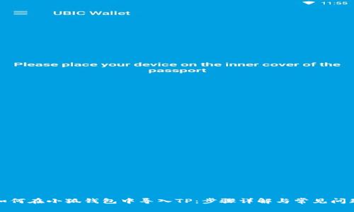 如何在小狐钱包中导入TP:步骤详解与常见问题