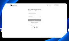 如何将USDT从MetaMask导入博