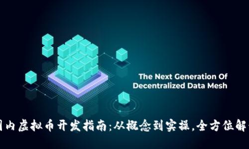国内虚拟币开发指南：从概念到实操，全方位解读