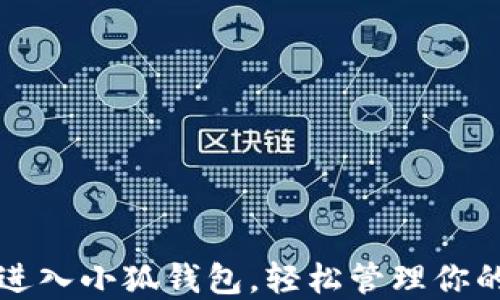 
如何安全进入小狐钱包，轻松管理你的数字资产