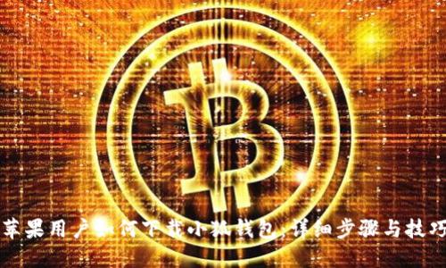 苹果用户如何下载小狐钱包：详细步骤与技巧