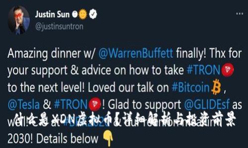 什么是XDN虚拟币?详细解析与投资前景