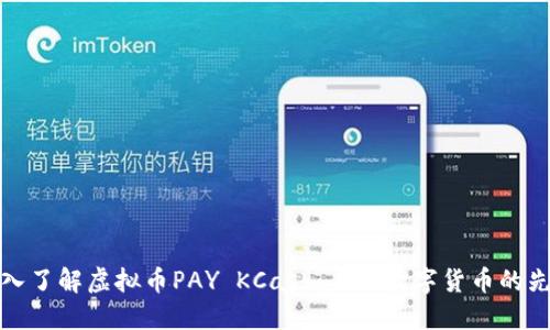 深入了解虚拟币PAY KCash：未来数字货币的先锋