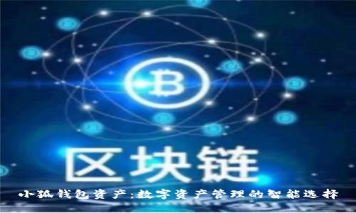 小狐钱包资产：数字资产管理的智能选择