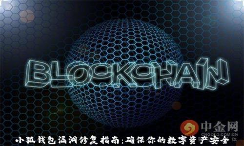 
小狐钱包漏洞修复指南：确保你的数字资产安全