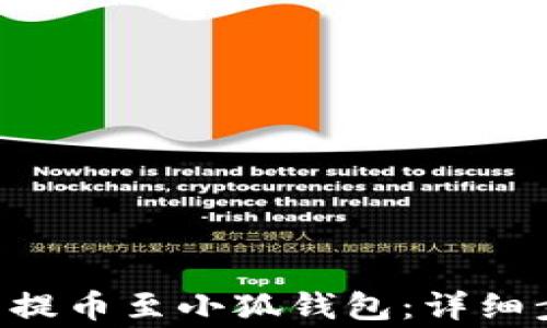 
如何将Coreb币提币至小狐钱包：详细步骤与注意事项