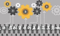 贝壳币：虚拟货币的未来