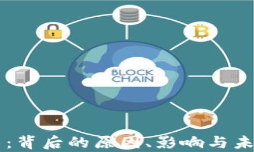 
虚拟币暴落：背后的原因、影响与未来趋势分析