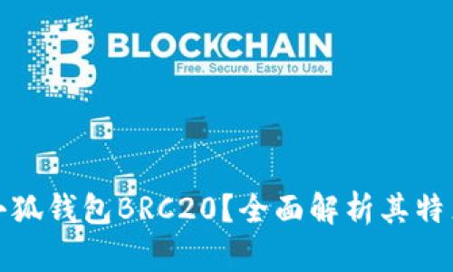 什么是小狐钱包BRC20？全面解析其特点与优势