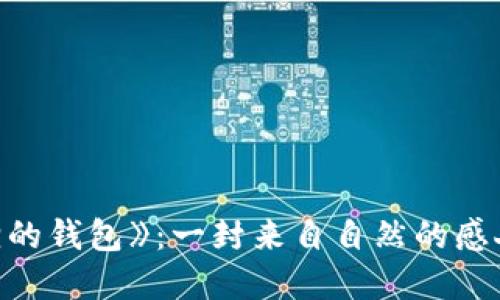 《狐狸的钱包》：一封来自自然的感人信笺