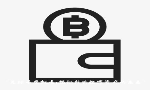 “足球币虚拟币：揭秘新兴数字资产的未来”
