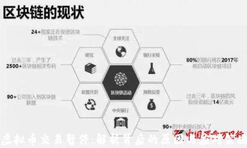 
虚拟币交易暂停：解析背后的原因与应对策略
