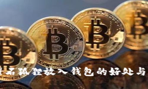 黑曜石狐狸放入钱包的好处与禁忌