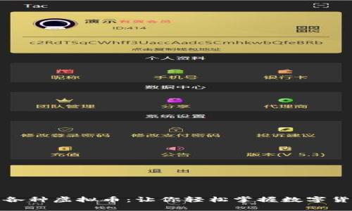 全面了解各种虚拟币：让你轻松掌握数字货币的世界