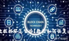 小狐钱包数据损坏怎么办