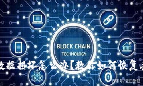 小狐钱包数据损坏怎么办？教你如何恢复丢失的数据