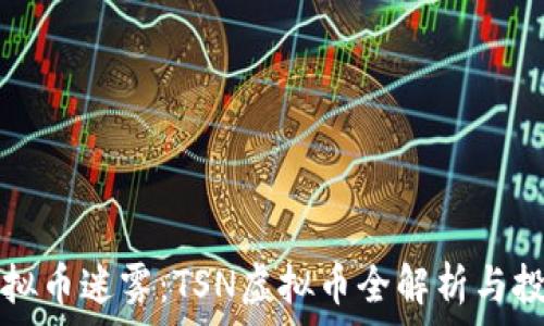   
突破虚拟币迷雾：TSN虚拟币全解析与投资指南
