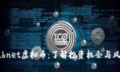 Subnet虚拟币：了解投资机