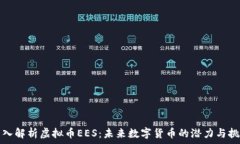   深入解析虚拟币EES：未来