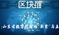 齐鲁币：山东省数字经济