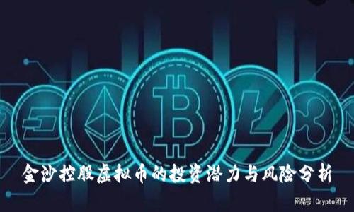 金沙控股虚拟币的投资潜力与风险分析